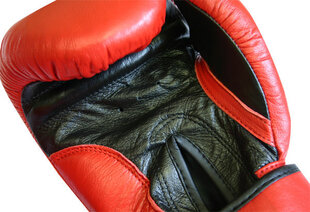 Боксерские перчатки inSPORTline SPARTAN цена и информация | Боевые искусства | 220.lv