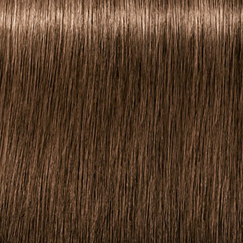 Matu krāsa Schwarzkopf Professional Igora Royal Absolutes 60 ml, 6-07 Dark Blonde Natural Copper cena un informācija | Matu krāsas | 220.lv