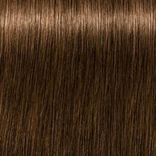 Matu krāsa Schwarzkopf Igora Royal Absolutes 60 ml, 5-50 Light Brown Golden  Nature cena | 220.lv