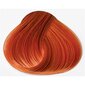 Matu krāsa Schwarzkopf Igora Royal 60 ml, 0-77 Intensive Copper цена и информация | Matu krāsas | 220.lv
