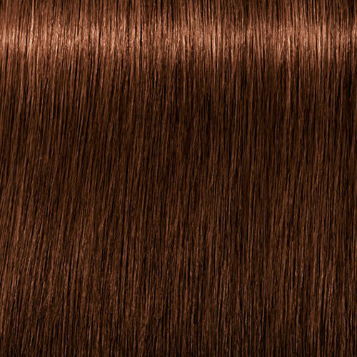 Matu krāsa Schwarzkopf Professional Igora Royal Absolutes 60 ml, 5-70 Light Brown Copper Nature cena un informācija | Matu krāsas | 220.lv