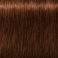 Matu krāsa Schwarzkopf Professional Igora Royal Absolutes 60 ml, 5-70 Light Brown Copper Nature cena un informācija | Matu krāsas | 220.lv