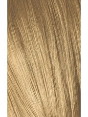 Matu krāsa Schwarzkopf Professional Igora Royal 60 ml, 9-55 Very Light Golden Blonde цена и информация | Краска для волос | 220.lv