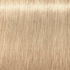 Matu krāsa Schwarzkopf Professional Igora Royal Highlifts 60 ml, 12-1 Special Blonde Cendre cena un informācija | Matu krāsas | 220.lv