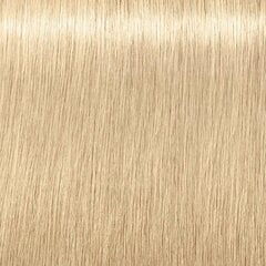 Matu krāsa Schwarzkopf Professional Igora Royal Highlifts 60 ml, 12-0 Special Blonde Natural cena un informācija | Matu krāsas | 220.lv