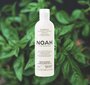Attīrošs matu šampūns pret blaugznām Noah 250 ml цена и информация | Šampūni | 220.lv