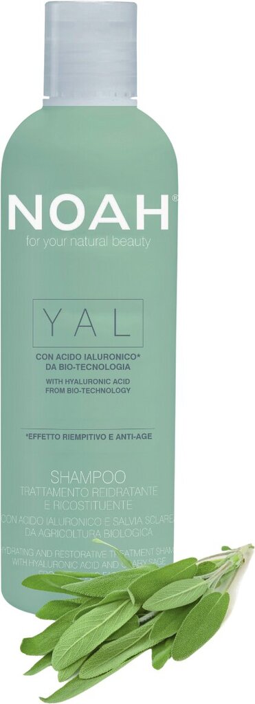 Atjaunojošs, mitrinošs matu šampūns ar hialuronskābi un salviju Noah 250 ml cena un informācija | Šampūni | 220.lv
