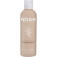 Barojošs šampūns ar bambusa lapām Noah 250 ml cena un informācija | Šampūni | 220.lv