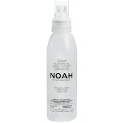 Spīdumu piešķiroša matu sprejs Noah 125 ml цена и информация | Средства для укладки волос | 220.lv