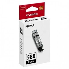 Canon 2078C001 цена и информация | Картриджи для струйных принтеров | 220.lv