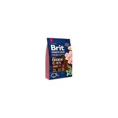 Brit Premium Nature Junior Large 15kg Suņiem cena un informācija | Sausā barība suņiem | 220.lv