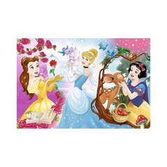 Пазл "Disney Princesės" Trefl, 60ч. цена и информация | Пазлы | 220.lv