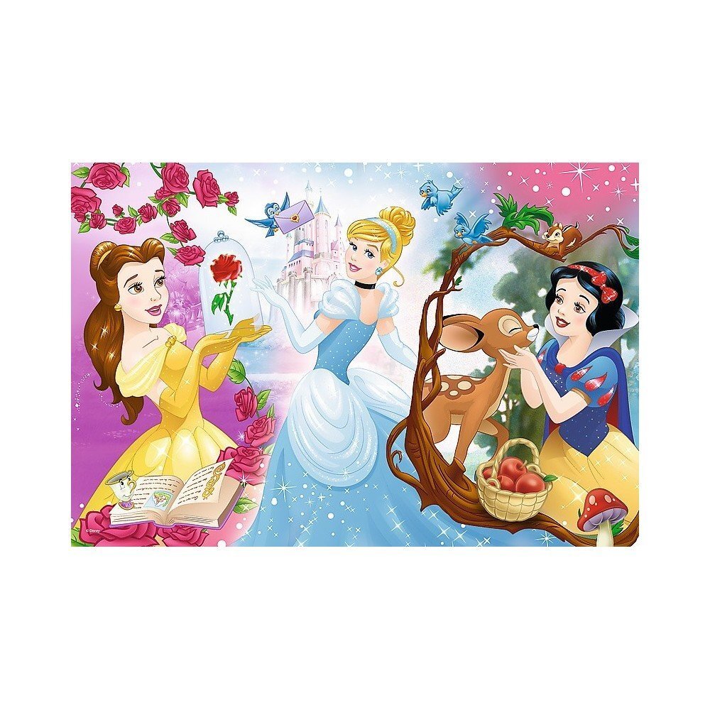 Puzle "Disney princeses" Trefl 60 d. цена и информация | Puzles, 3D puzles | 220.lv