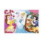 Puzle "Disney princeses" Trefl 60 d. cena un informācija | Puzles, 3D puzles | 220.lv