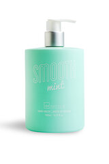 Жидкое мыло для рук с дозатором IDC Institute Smooth Touch Mint 500 мл цена и информация | Мыло | 220.lv
