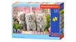 Puzle Puzzle Castorland "Three Grey Kittens" 260 gab. cena un informācija | Puzles, 3D puzles | 220.lv
