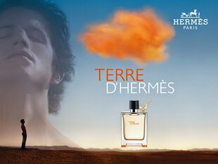 Дезодорант для мужчин Hermes Terre D Hermes, 75 мл цена и информация | Парфюмированная мужская косметика | 220.lv