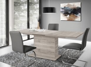 Расширяемый стол EST42, серый цена и информация | Кухонные и обеденные столы | 220.lv