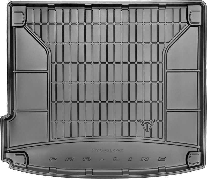 Bagāžnieka gumijas paklājs Proline BMW X6 E71 2008-2014 цена и информация | Bagāžnieka paklājiņi pēc auto modeļiem | 220.lv