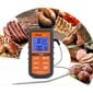 Digitālais pārtikas termometrs ThermoPro TP-06S cena un informācija | Grila, barbekjū piederumi un aksesuāri | 220.lv