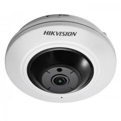 IP камера Hikvision TVKIPDS2CD2955FWD - IS цена и информация | Камеры видеонаблюдения | 220.lv