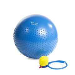 Гимнастический мяч с насосом HMS YB03, 55 см, синий цена и информация | Гимнастические мячи | 220.lv