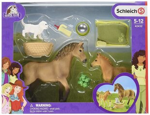 Figūriņu komplekts "Zirgu klubs un kucēns" Schleich Horse Club цена и информация | Игрушки для мальчиков | 220.lv