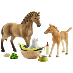 Набор фигурок «Конный клуб и щенок» Schleich Horse Club цена и информация | Конструктор автомобилей игрушки для мальчиков | 220.lv