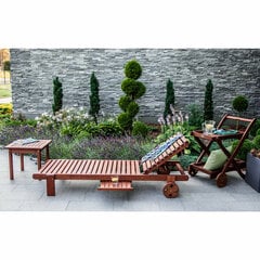 Лежак для улицы Malay, коричневый цена и информация | Garden4You Мебель и домашний интерьер | 220.lv
