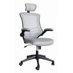 Офисный стул Ragusa, Серый цена и информация | Офисные кресла | 220.lv