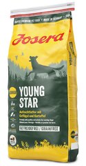 Josera Dog Junior Youngstar Grainfree, 15 кг цена и информация | Сухой корм для собак | 220.lv