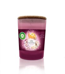 Aromātiskā svece AirWick Summer Delight 185 g cena un informācija | Sveces un svečturi | 220.lv