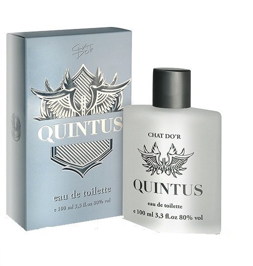 Tualetes ūdens Chat D'or Quintus EDT vīriešiem 100 ml цена и информация | Sieviešu smaržas | 220.lv