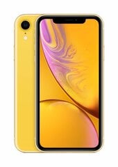 Apple iPhone XR, 64 GB, Yellow cena un informācija | Mobilie telefoni | 220.lv