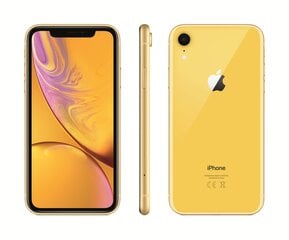 Apple iPhone XR, 64 GB, Yellow цена и информация | Мобильные телефоны | 220.lv