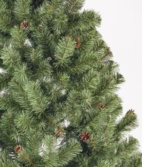 Ziemassvētku eglīte ar čiekuriem 250 cm kaina ir informacija | Mākslīgās egles, vainagi, statīvi | 220.lv