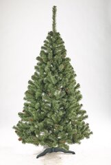 Ziemassvētku eglīte ar čiekuriem 250 cm цена и информация | Искусственные елки | 220.lv