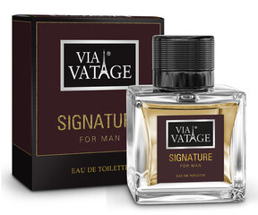 Tualetes ūdens vīriešiem VIA VATAGE Signature 100ml cena un informācija | Vīriešu smaržas | 220.lv