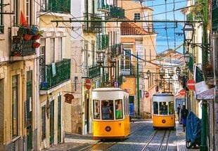 Пазл Castorland Puzzle Lisbon Trams, Portugal, 1000 д. цена и информация | Пазлы | 220.lv