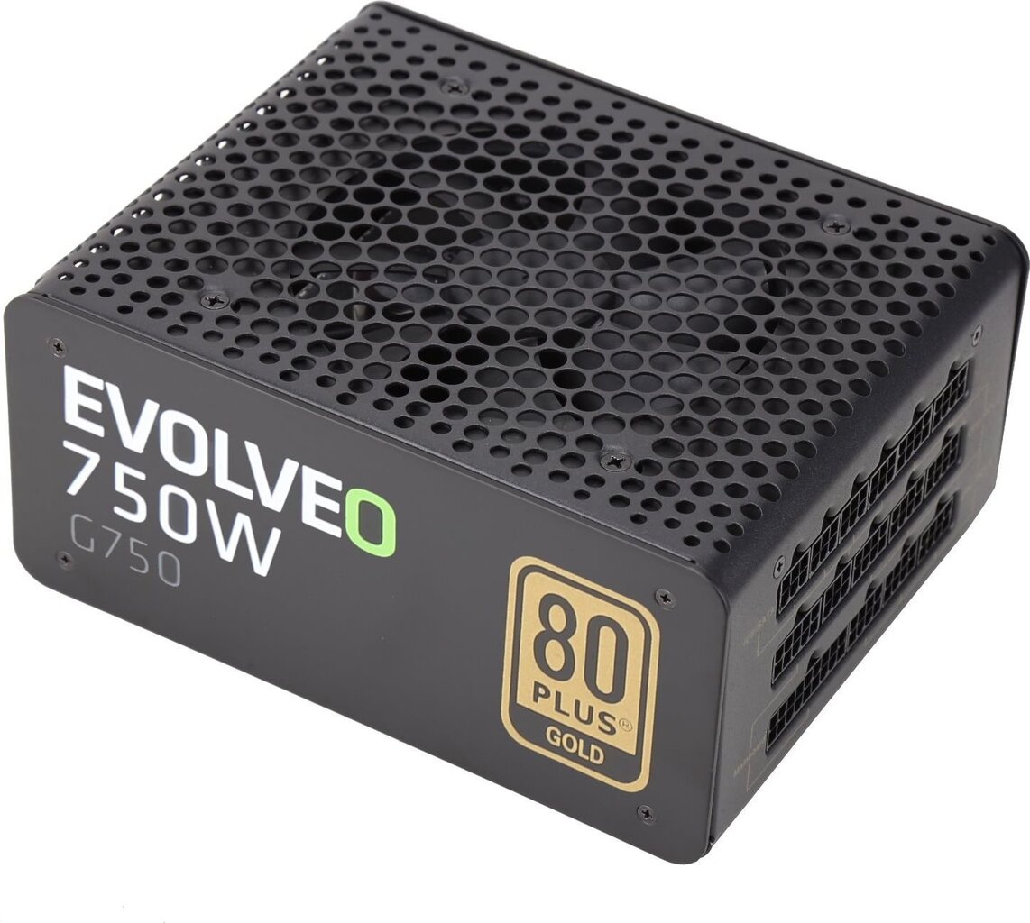 Evolveo G750 750W цена и информация | Barošanas bloki (PSU) | 220.lv