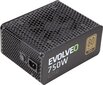 Evolveo G750 750W (E-G750R) cena un informācija | Barošanas bloki (PSU) | 220.lv