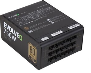 Evolveo G750 750W (E-G750R) cena un informācija | Barošanas bloki (PSU) | 220.lv