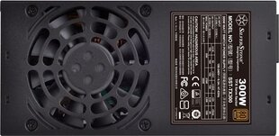 SilverStone TX300 300W cena un informācija | Barošanas bloki (PSU) | 220.lv