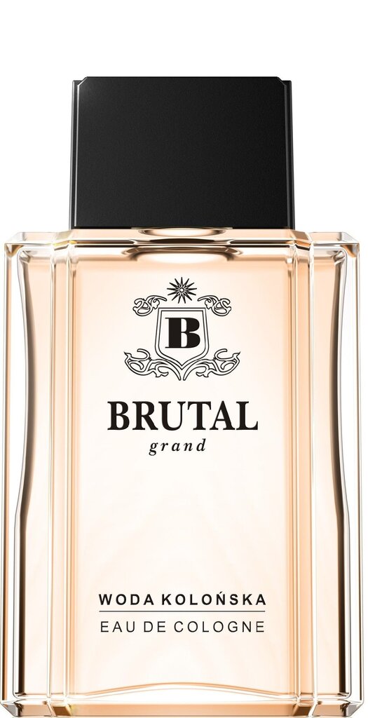 Odekolons La Rive Brutal Grand EDC vīriešiem 100 ml цена и информация | Vīriešu smaržas | 220.lv