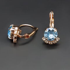 Серьги "Великолепие III (Aquamarine Blue)" с кристаллами Swarovski™ цена и информация | Серьги | 220.lv