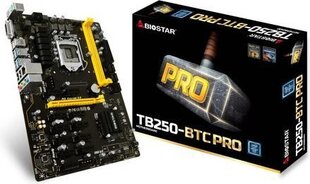 BIOSTAR TB250-BTC PRO cena un informācija | Mātesplates | 220.lv