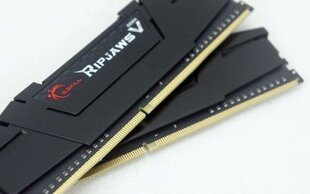 G.Skill Ripjaws V DDR4, 2x16GB, 3200MHz, CL16 (F4-3200C16D-32GVKA) цена и информация | Оперативная память (RAM) | 220.lv