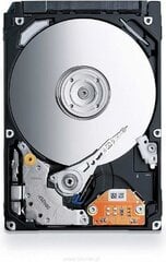 Toshiba 2.5" 500GB (HDWJ105UZSVA) cena un informācija | Iekšējie cietie diski (HDD, SSD, Hybrid) | 220.lv