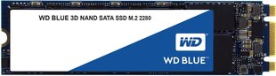 Western Digital Blue 250GB SATA3 (WDS250G2B0B) цена и информация | Внутренние жёсткие диски (HDD, SSD, Hybrid) | 220.lv