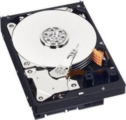 Western Digital WD Blue 500GB (WD5000AZRZ) цена и информация | Внутренние жёсткие диски (HDD, SSD, Hybrid) | 220.lv